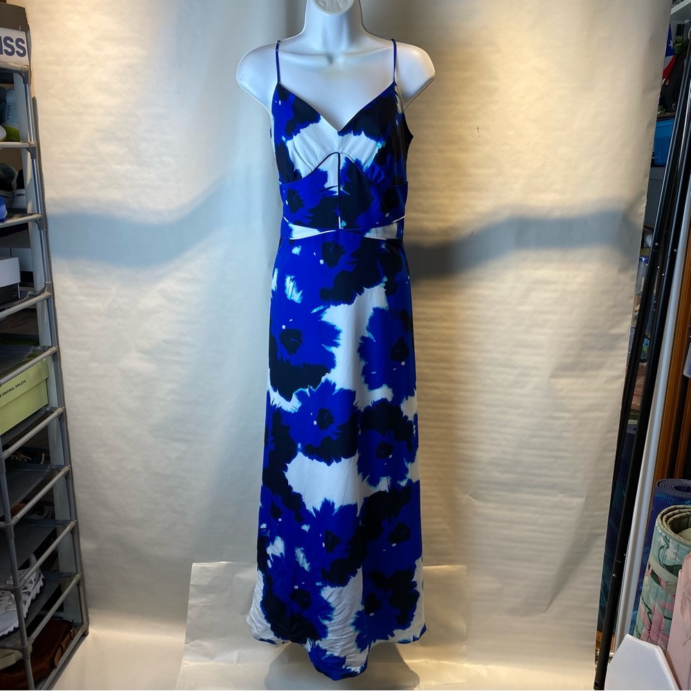Banana Republic Blue and White Floral Maxi Dress